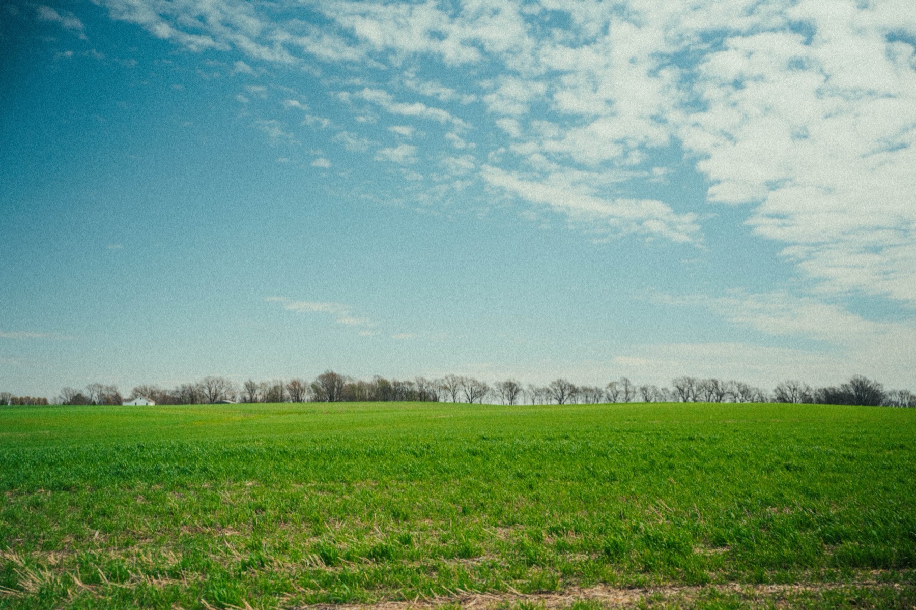 Open farmland under a wide sky.