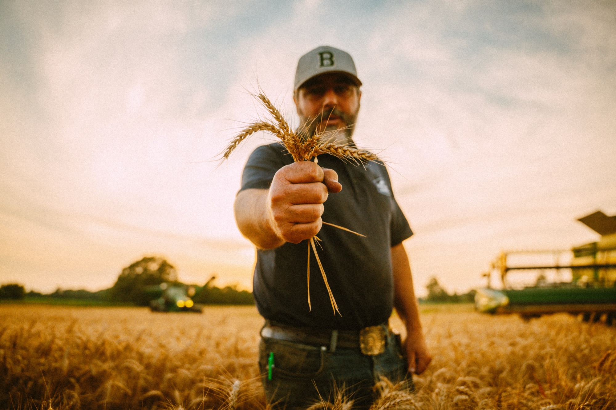 A farmer in a field at golden hour holds a handful of grain stalks toward the camera, a combine behind him.