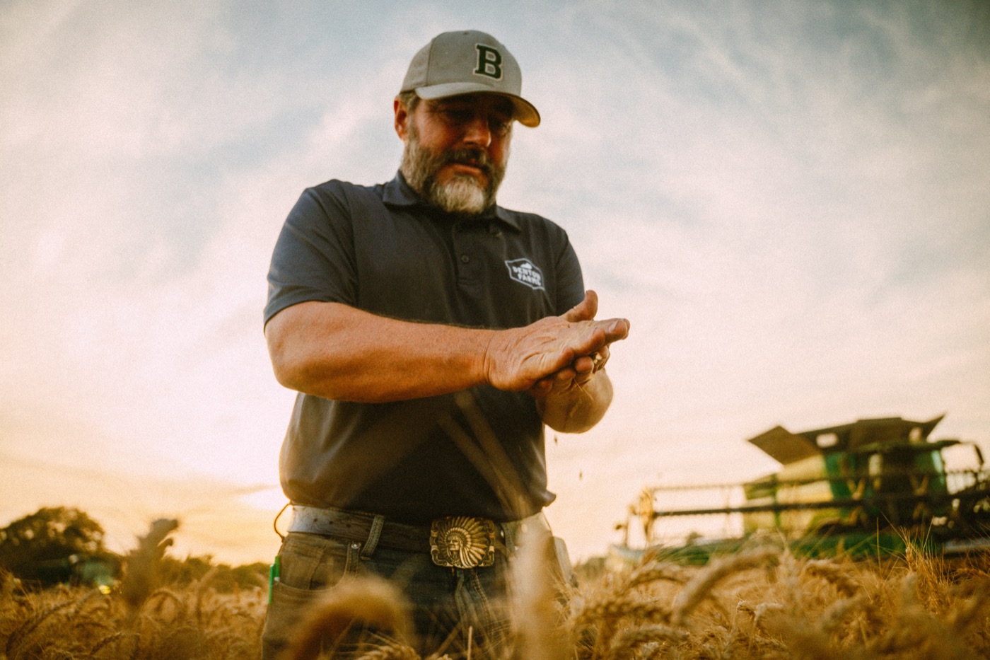 Neil in a ripe field, checking grain in his hands.